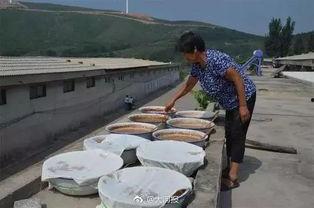 吃瓜大妈在保定,揭秘城市生活百态