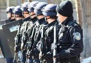 中国反恐在线观看,揭秘国家安全防线