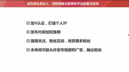 头条发布的视频多少兆,视频时长多少兆？揭秘头条热门视频背后的数据秘密