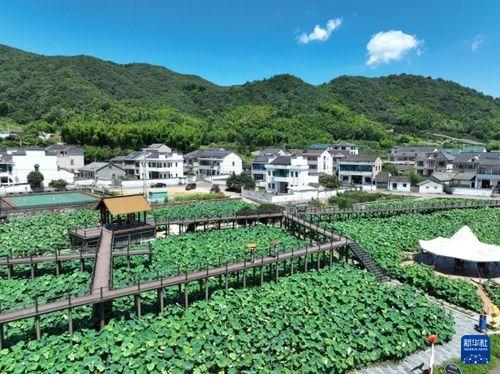 安阳网红乡村游客图片,探寻古韵新颜的旅游打卡地