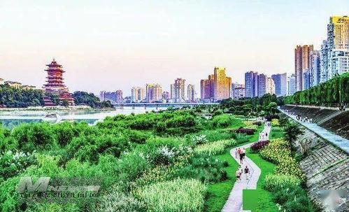 绵阳今日头条新农村,今日头条聚焦乡村振兴新篇章