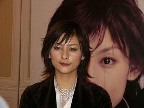 明星京,闪耀舞台，魅力无限