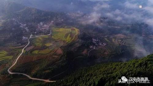 勉县水坪乡新闻头条,乡村振兴战略下的绿色发展新篇章