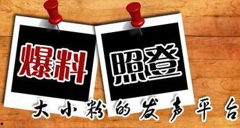 新闻爆料的地方叫啥名字,新闻爆料地之谜，探寻背后故事