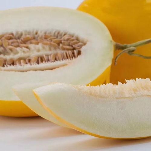 金蛋蜜瓜怎么吃,金蛋蜜瓜的多样食法探索