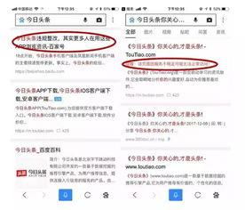 今日头条搜索文章的内容,揭秘网红经济背后的秘密：流量变现与粉丝经济新趋势