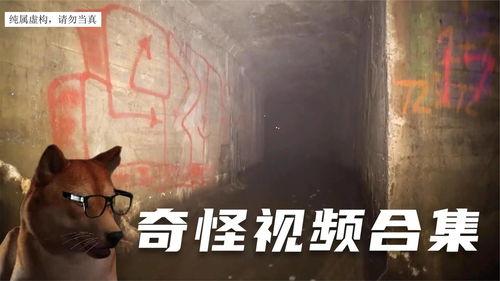 爆料诡异视频大全最新版,惊悚瞬间，揭秘未知世界