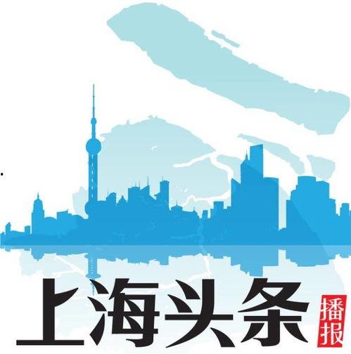 上海市头条,最新头条资讯概览