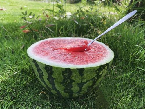 吃瓜热游,揭秘网络狂欢背后的游戏魅力