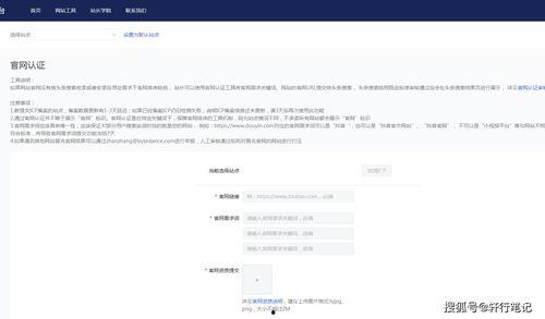 站长头条为什么打不开