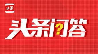 头条问答在哪排版