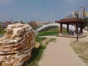 今日头条杞县东湖公园,绿意盎然的城市绿肺，休闲游玩的理想之地