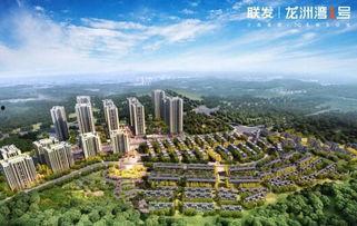 龙洲湾区新闻头条,聚焦区域发展新动态，共绘湾区繁荣新蓝图