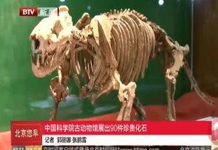 今日动物爆料最新消息新闻,最新奇特的动物新闻盘点