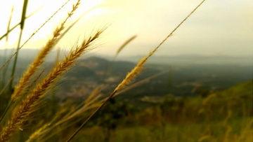 风景最新爆料视频大全高清