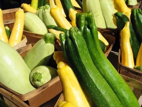 带你吃瓜广州,带你吃遍地道“吃瓜”盛宴