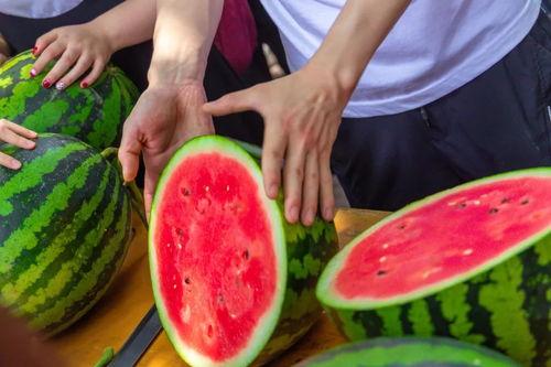 大学热门吃瓜,揭秘校园里的那些“瓜”事